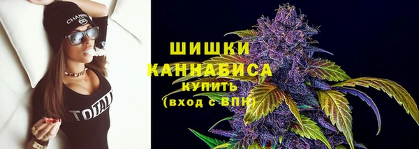 индика Краснотурьинск