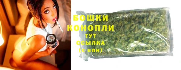 индика Краснотурьинск