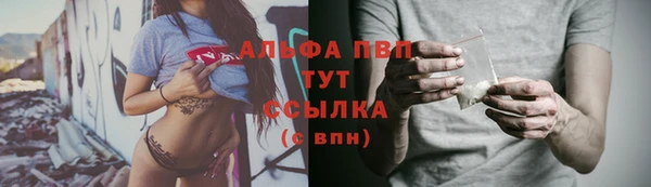 индика Краснотурьинск