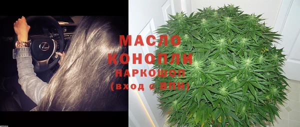индика Краснотурьинск