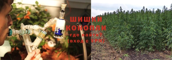 индика Краснотурьинск