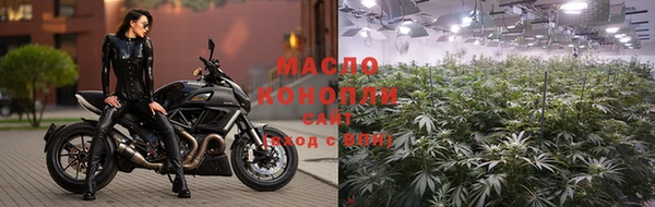 индика Краснотурьинск