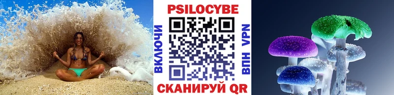 Купить где  Прохладный  Псилоцибиновые грибы MAGIC MUSHROOMS 